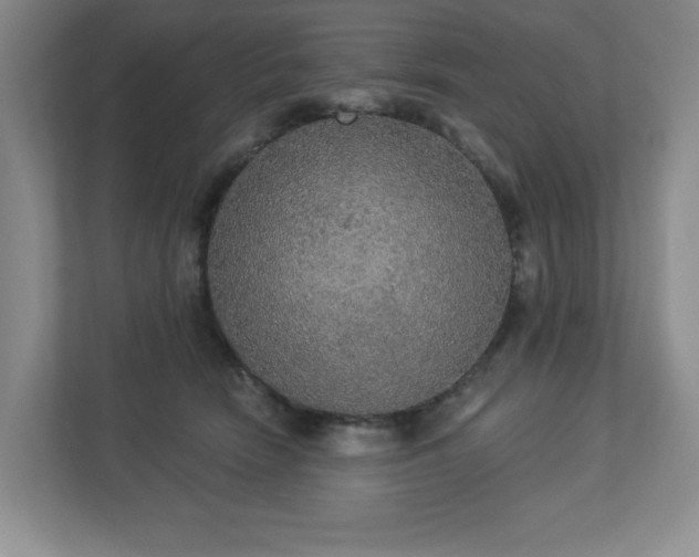 X0000112910466200908241209