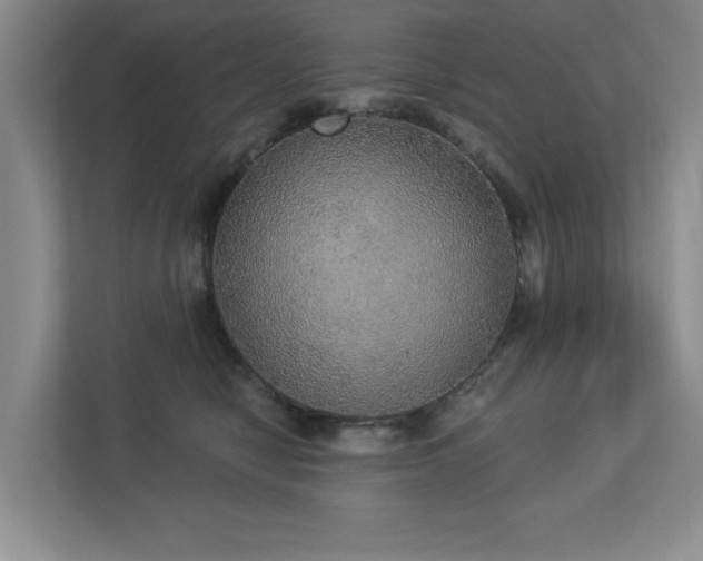 X0000112910470200908241209