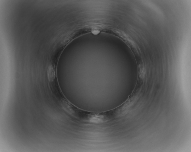 X0000112910471200908241209