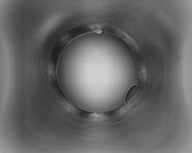 X0000112910477200908241210