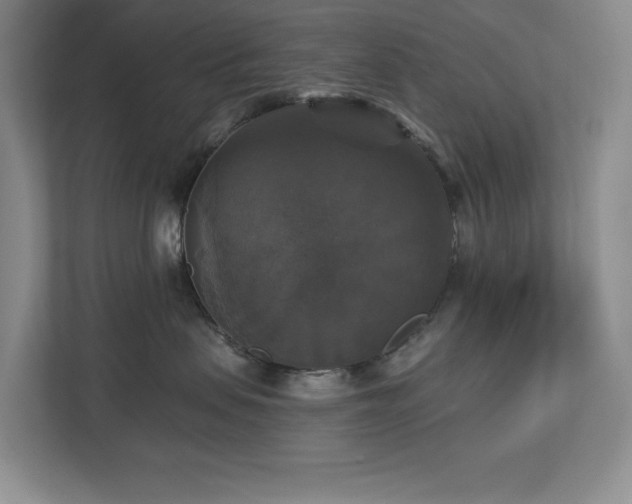 X0000112910479200908241210