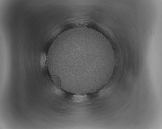 X0000112910480200908241210