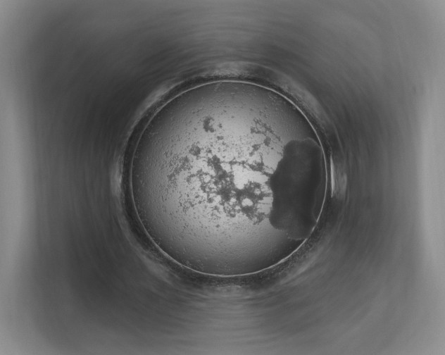 X0000112910483200908241209