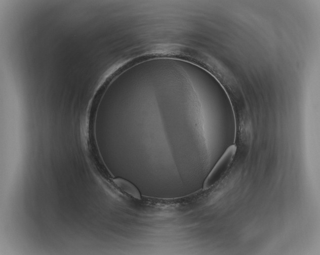 X0000112910484200908241209