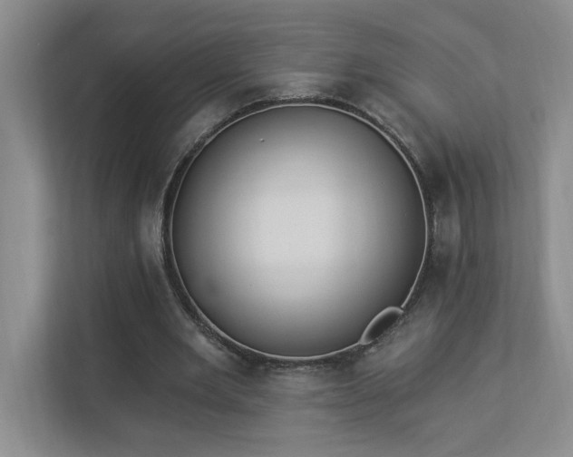 X0000112910485200908241209