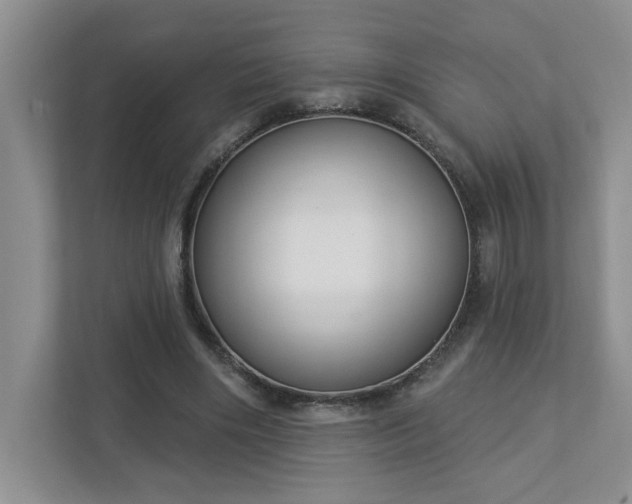 X0000112910490200908241209