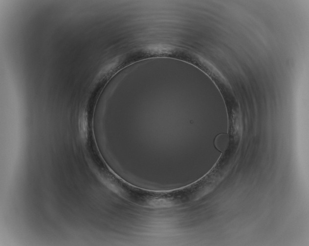 X0000112910494200908241209