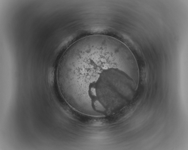 X0000112910495200908241209