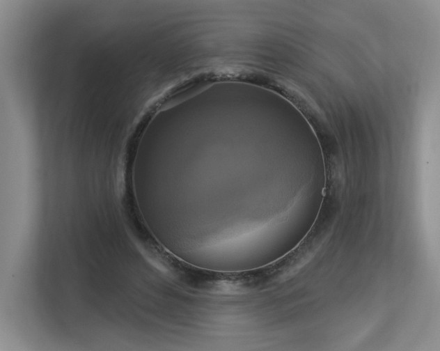 X0000112910496200908241209