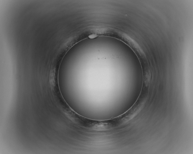 X0000112910497200908241209