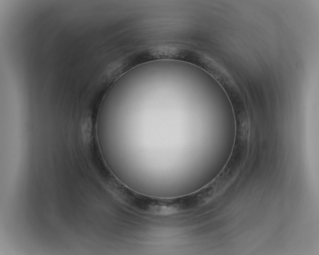 X0000112910498200908241209