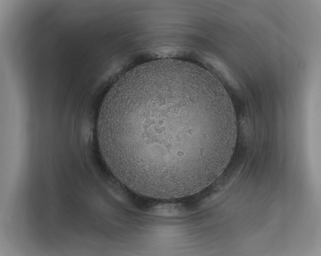 X0000112910499200908241209