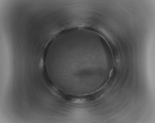 X0000112910500200908241209