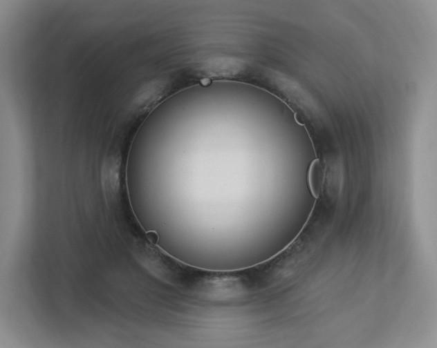 X0000112910501200908241209