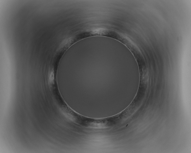 X0000112910502200908241209