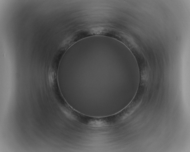 X0000112910503200908241209