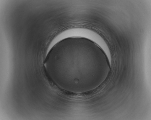 X0000112910504200908241209