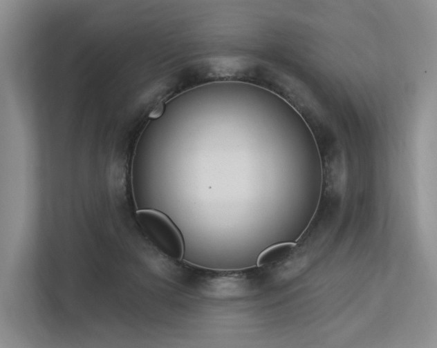 X0000112910505200908241209