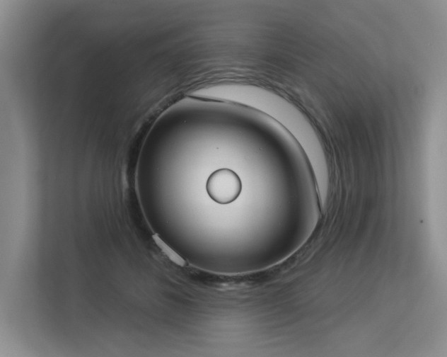 X0000112910508200908241209