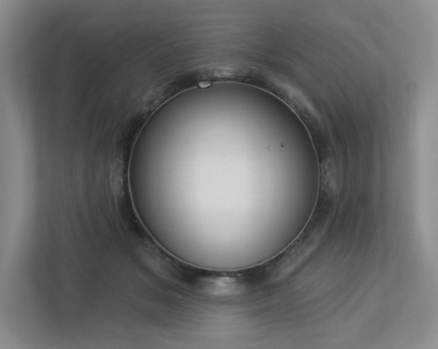 X0000112910509200908241209