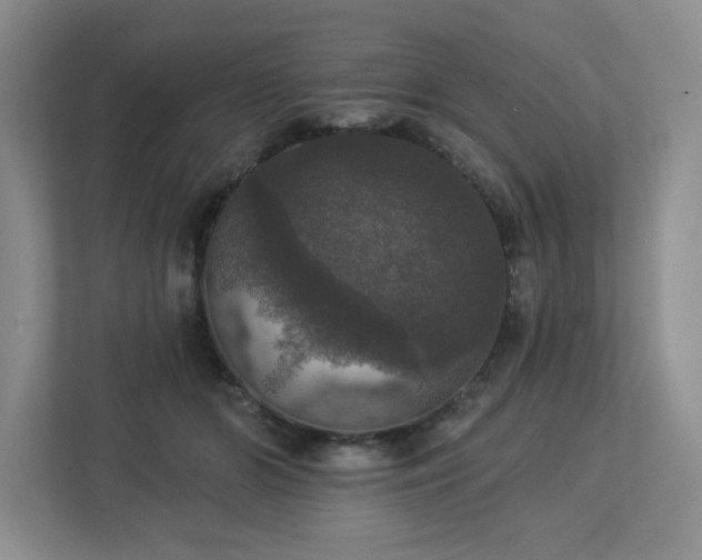 X0000112910510200908241209