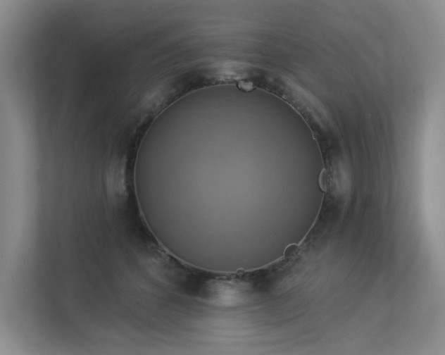 X0000112910512200908241209