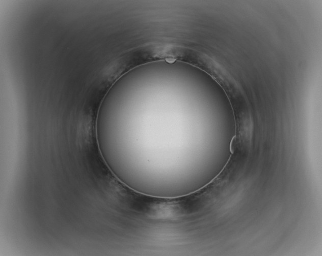 X0000112910513200908241209