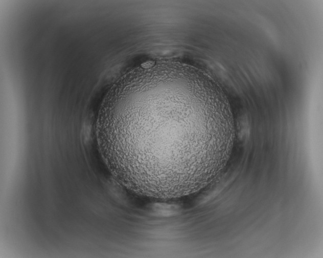 X0000112910515200908241209