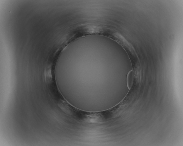 X0000112910516200908241209