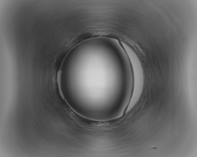 X0000112910517200908241208