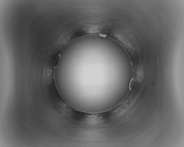 X0000112910521200908241208