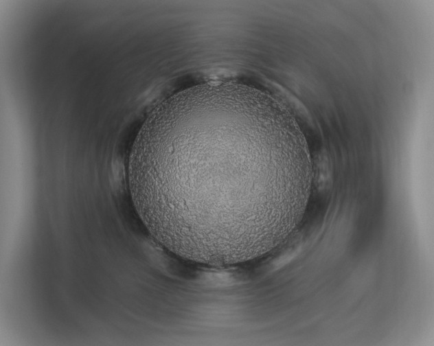 X0000112910523200908241208