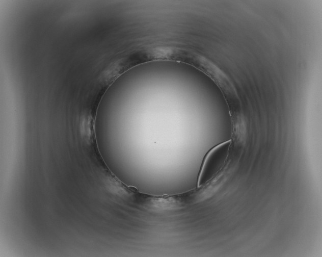 X0000112910525200908241208