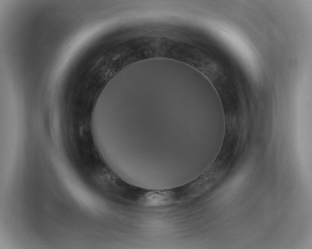 X0000112910526200908241208