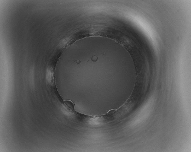 X0000112910527200908241208