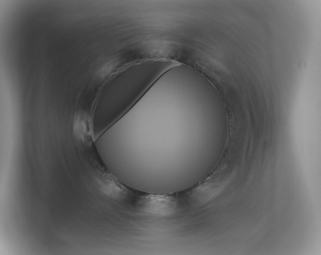 X0000112910528200908241208