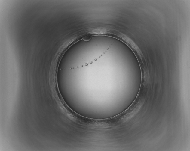 X0000112910529200908241208