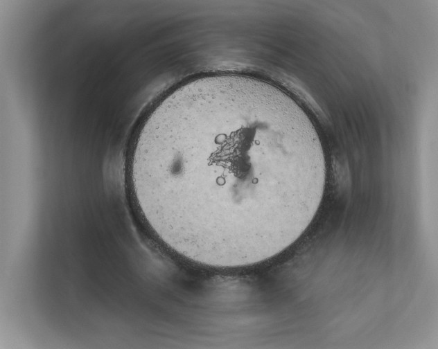 X0000112910534200908241208