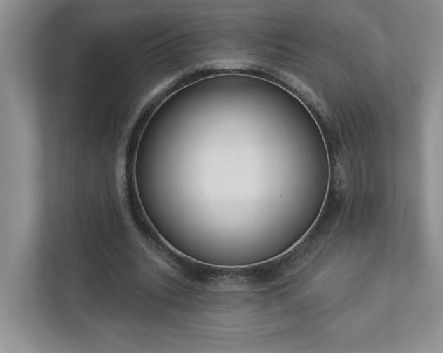 X0000112910535200908241208