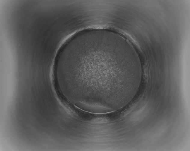 X0000112910536200908241208