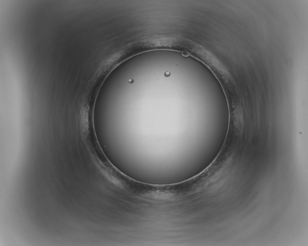 X0000112910537200908241208