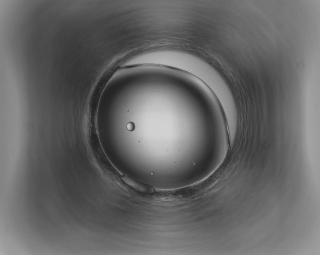 X0000112910540200908241208