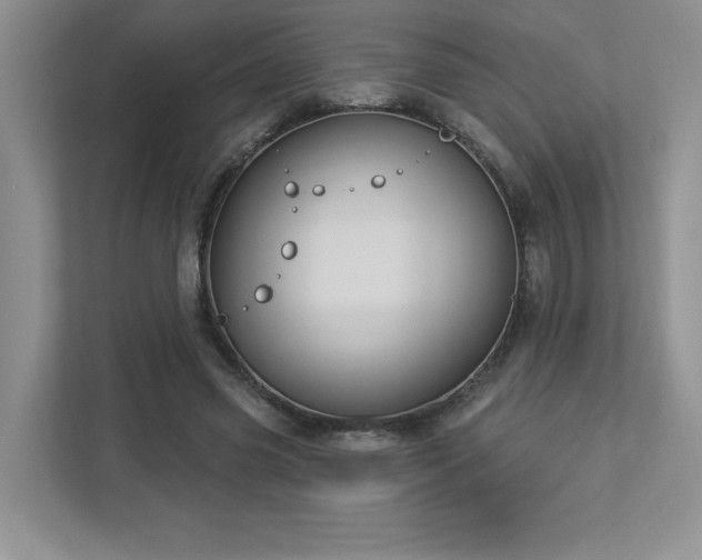 X0000112910541200908241208