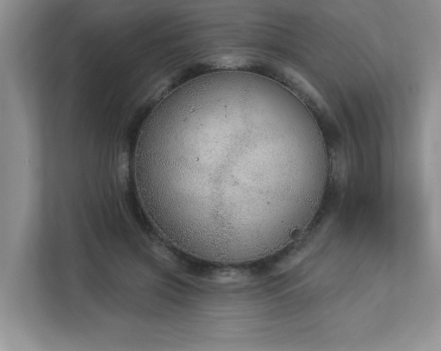 X0000112910549200908241208