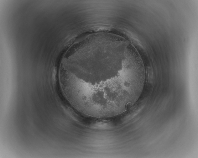 X0000112910550200908241208