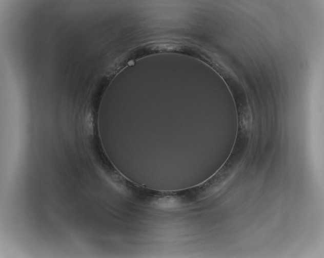 X0000112910551200908241208