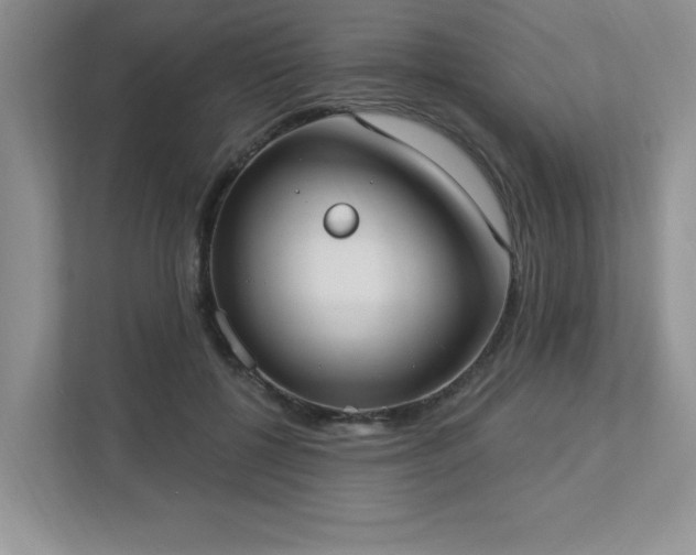 X0000112910552200908241208