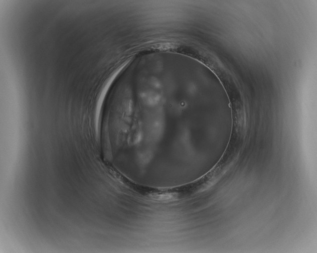 X0000112910553200908241208