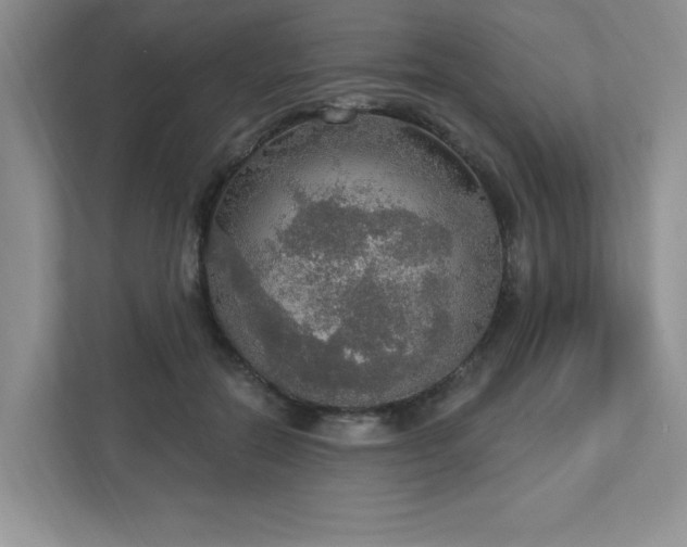 X0000112910554200908241208