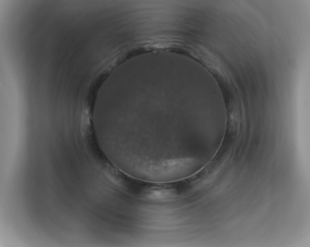 X0000112910555200908241208